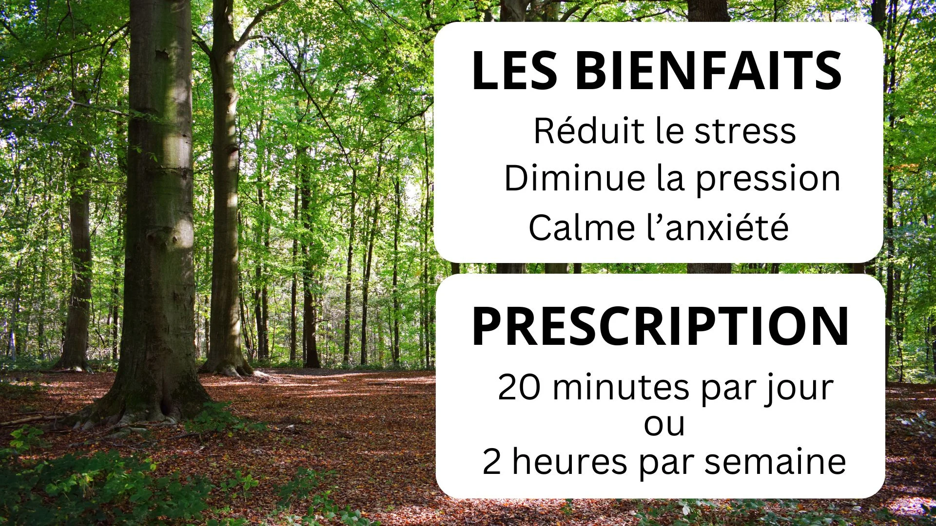 LES BIENFAITS DE LA NATURE