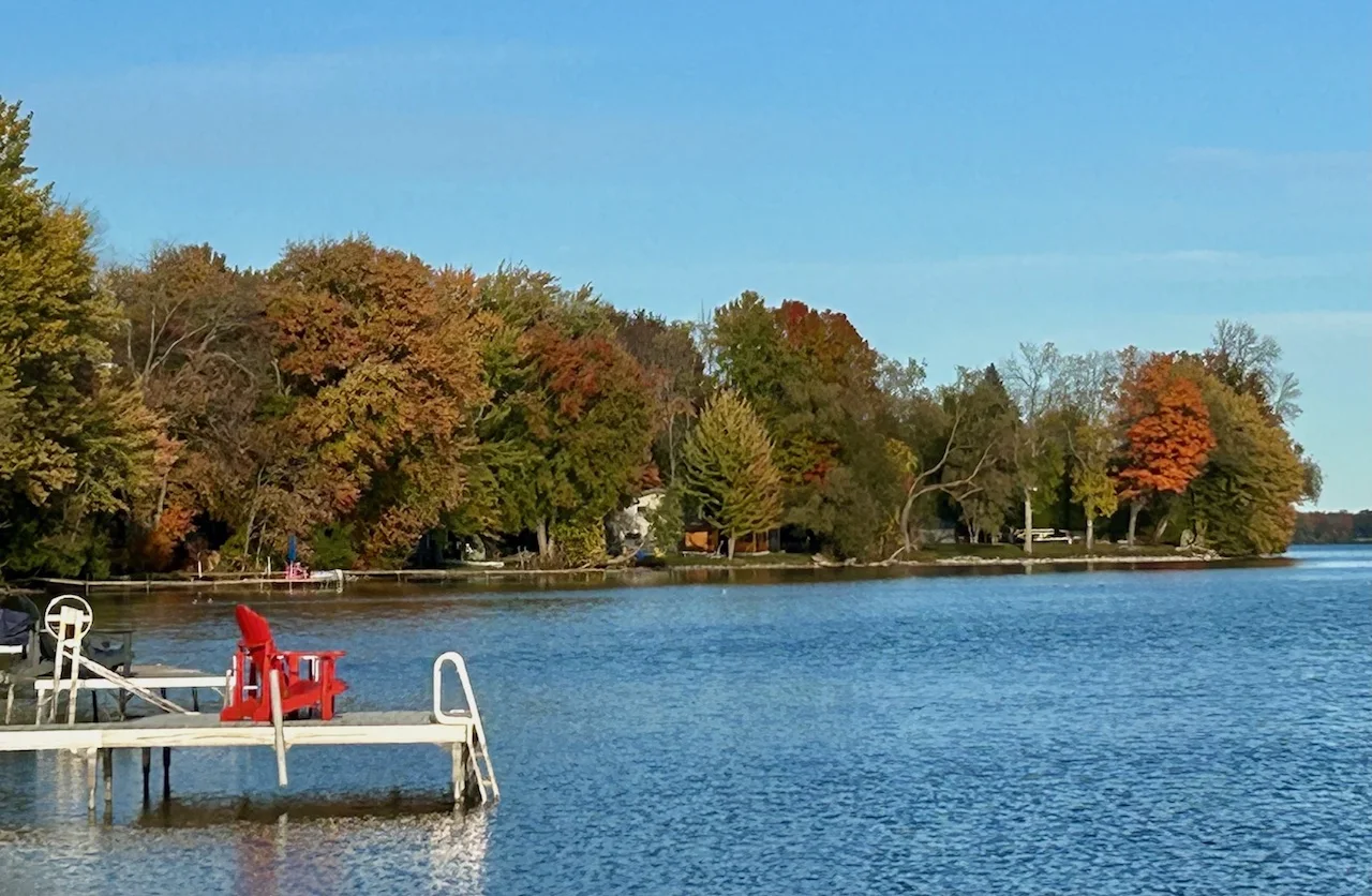 Fall leaves/foliage taken in Severn, Ont., on Oct. 12, 2024/Nathan Howes/TWN