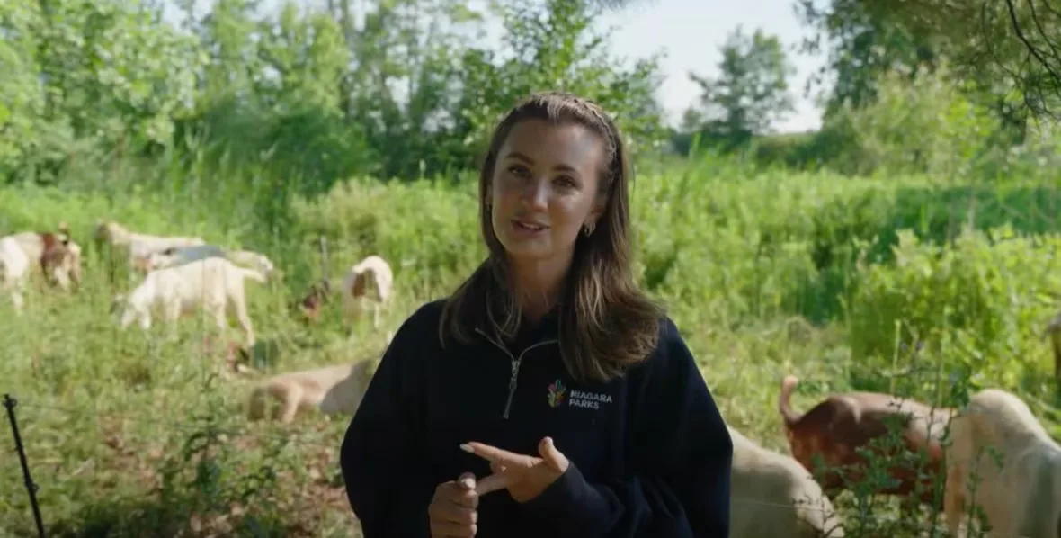 Victoria Kalenuik is a Niagara Parks environmental planning technician who initiated the goat project. (Submitted by Niagara Parks)