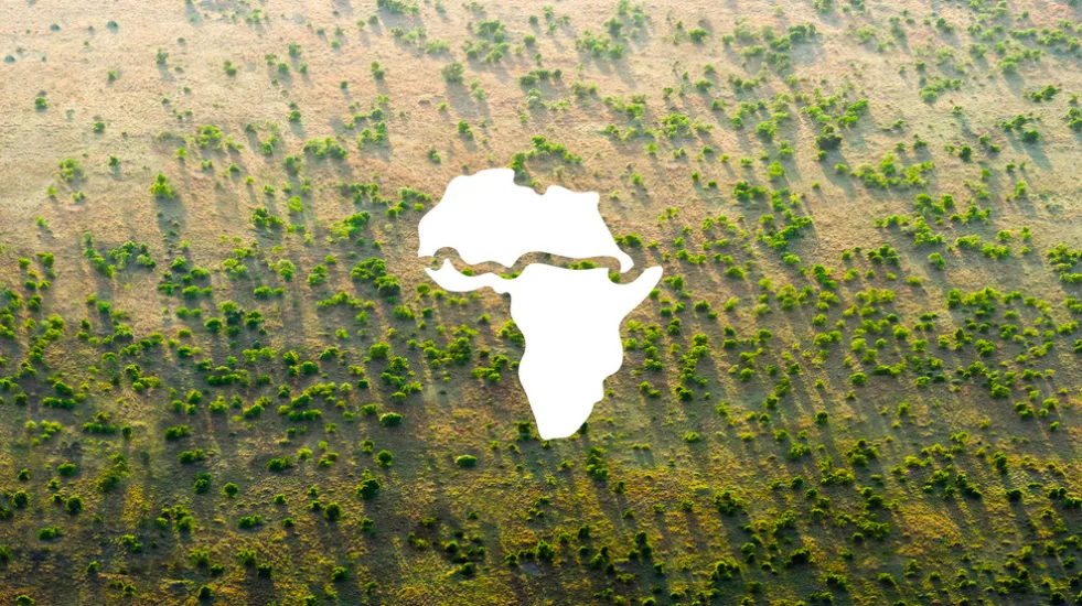 An illustration showing the Great Green Wall stretching from coast to coast across Africa. (Great Green Wall)