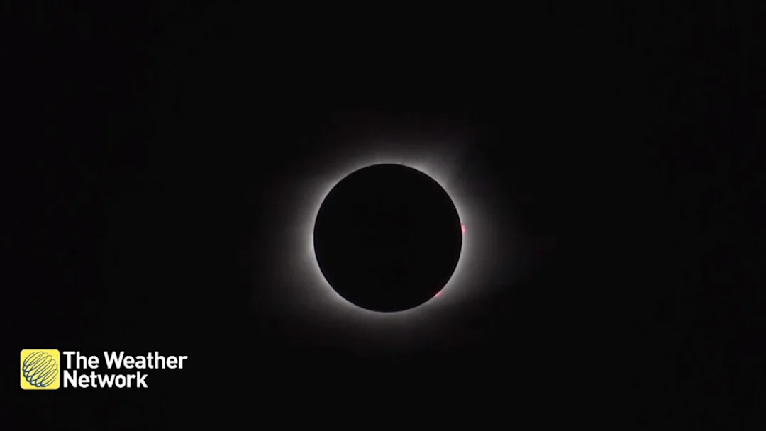 How to safely observe a solar eclipse - The Weather Network