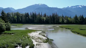 Wetland loss can worsen the effects of B.C.'s extreme weather events, including wildfires