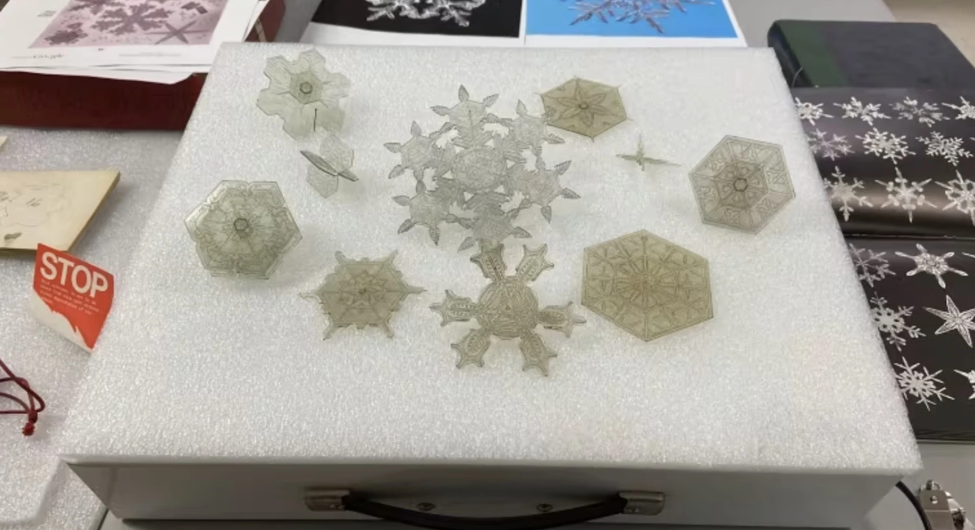 Scientifically accurate snowflake models discovered likely first of their kind
