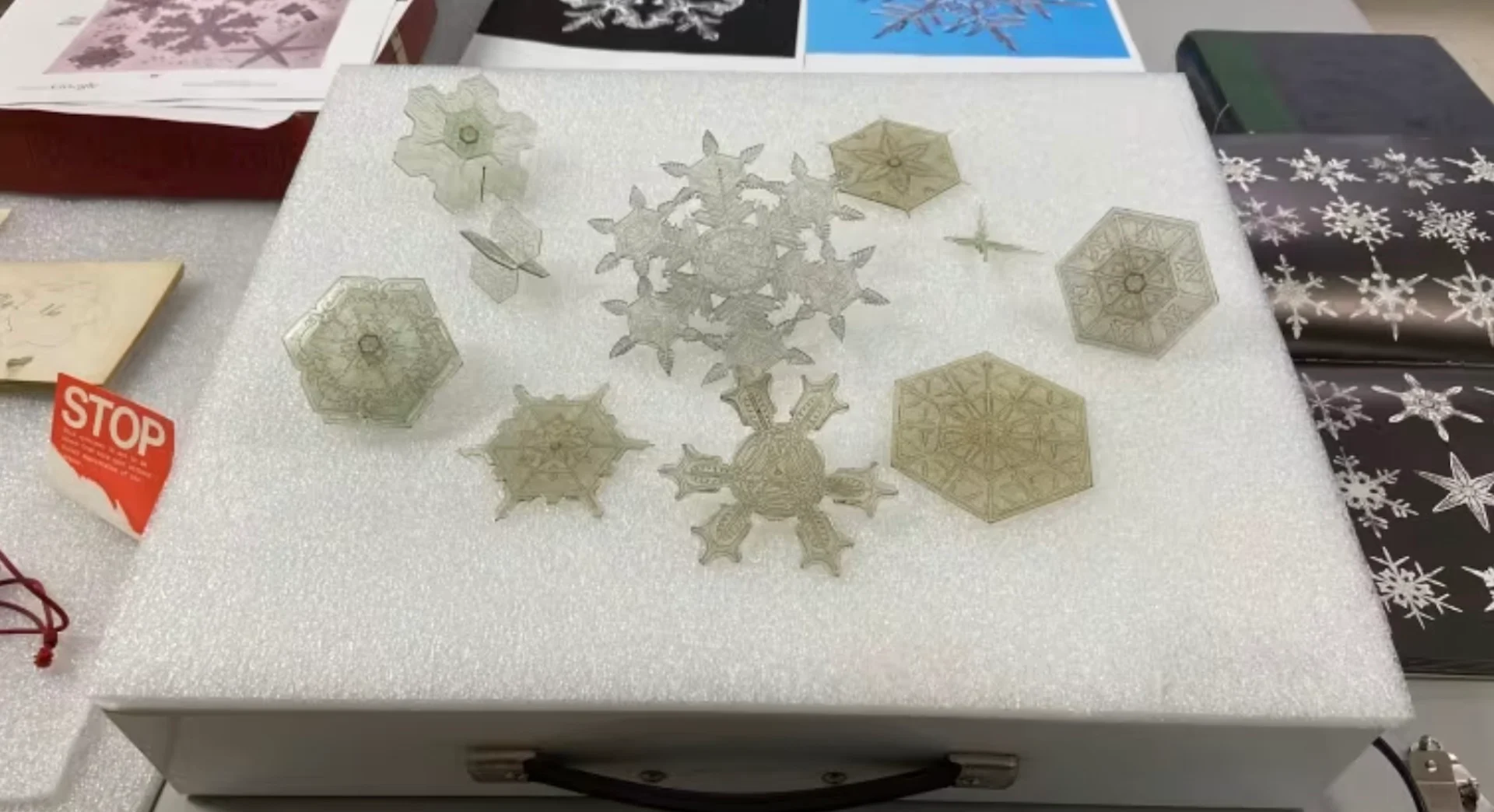 Scientifically accurate snowflake models discovered likely first of their kind