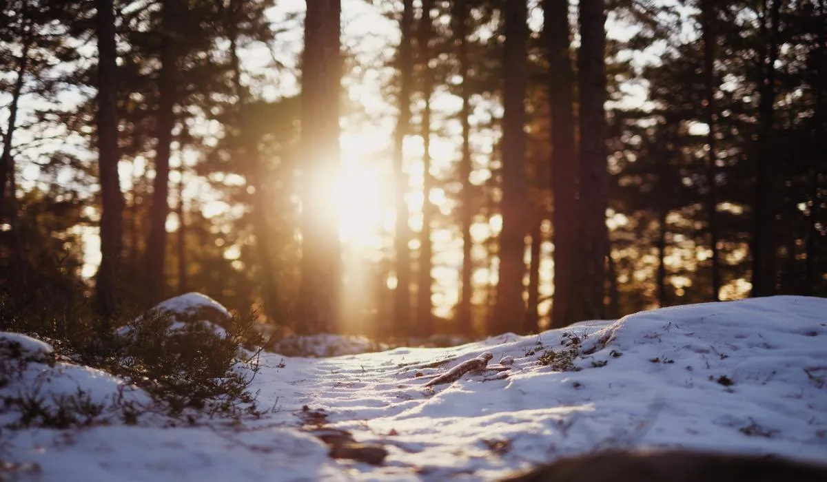 Voici des signes que l'hiver tire à sa fin