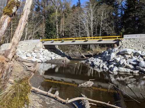 B.C. fish are making a splash after newfound freedom The Weather