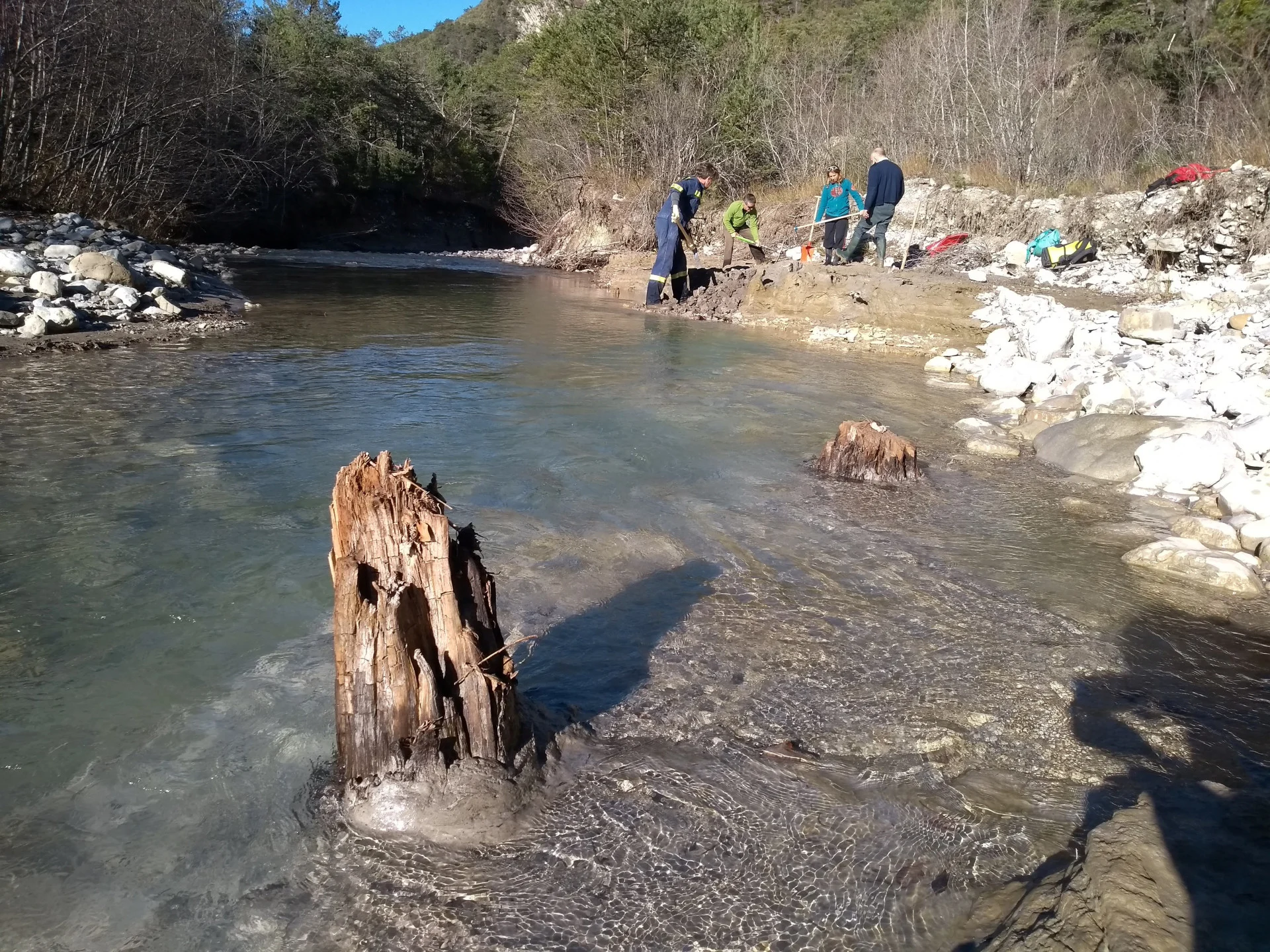 REUTERS: Subfossil Scots pine trees - tree remains whose fossilization process is not complete - are seen in the Drouzet river near Gap in the Southern French Alps in this handout photo taken in 2021. Cecile Miramont/Handout via REUTERS/File Photo