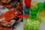 Crustacean shells could be the next popular biodegradable material