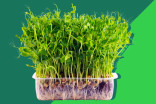 Microgreens: The health food trend that could provide global nutrition security