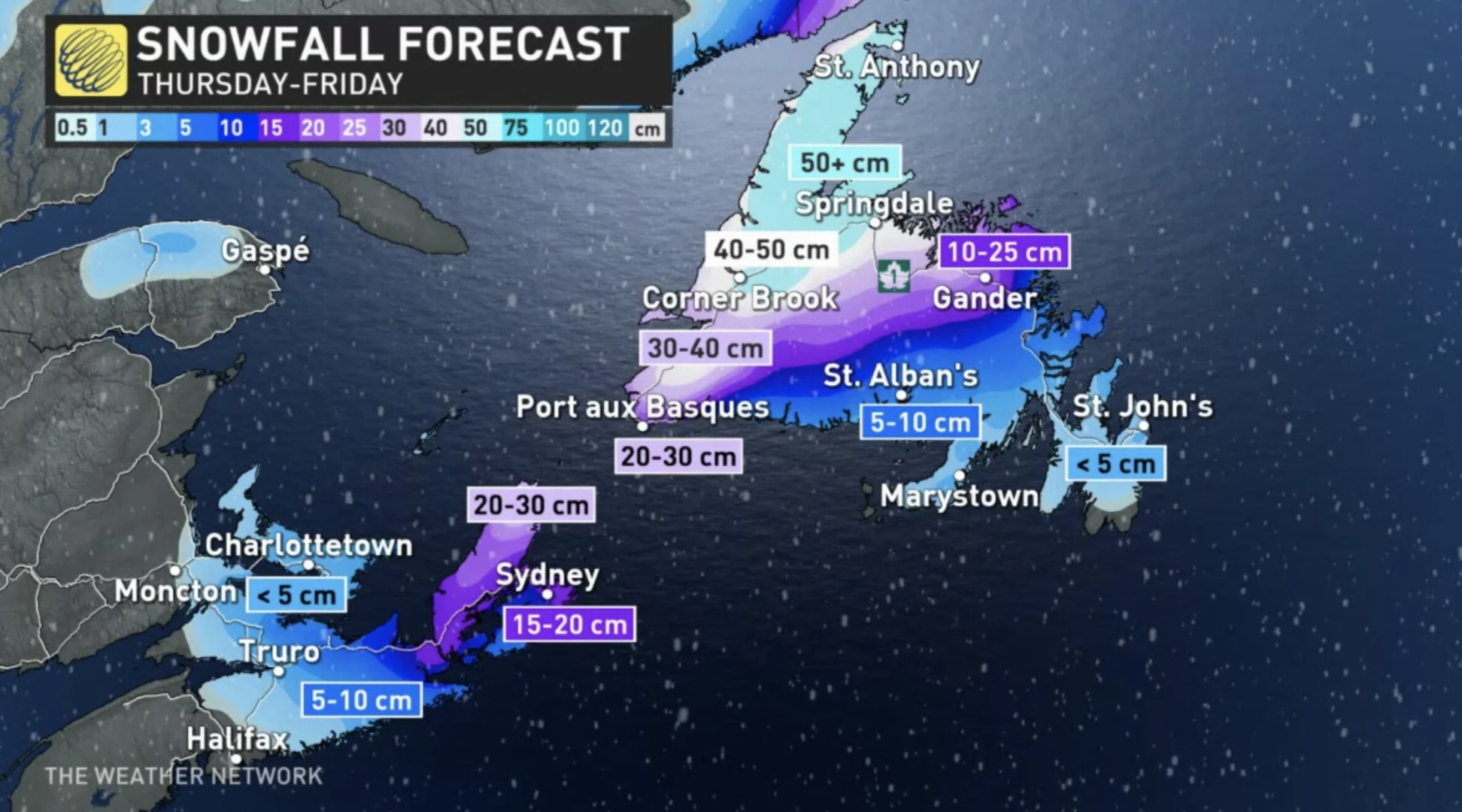 Dec 21, 2023: Newfoundland blizzard. 2pm update.