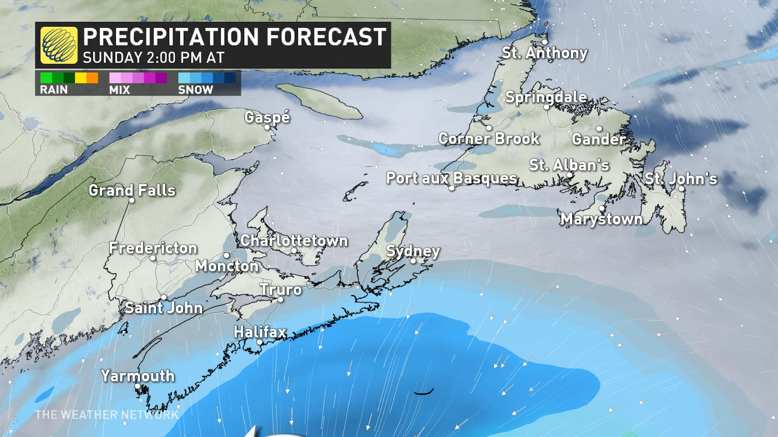 Atlantic Canada nor'easter precipitation timing at 2 pm Sunday - Feb. 8, 2025