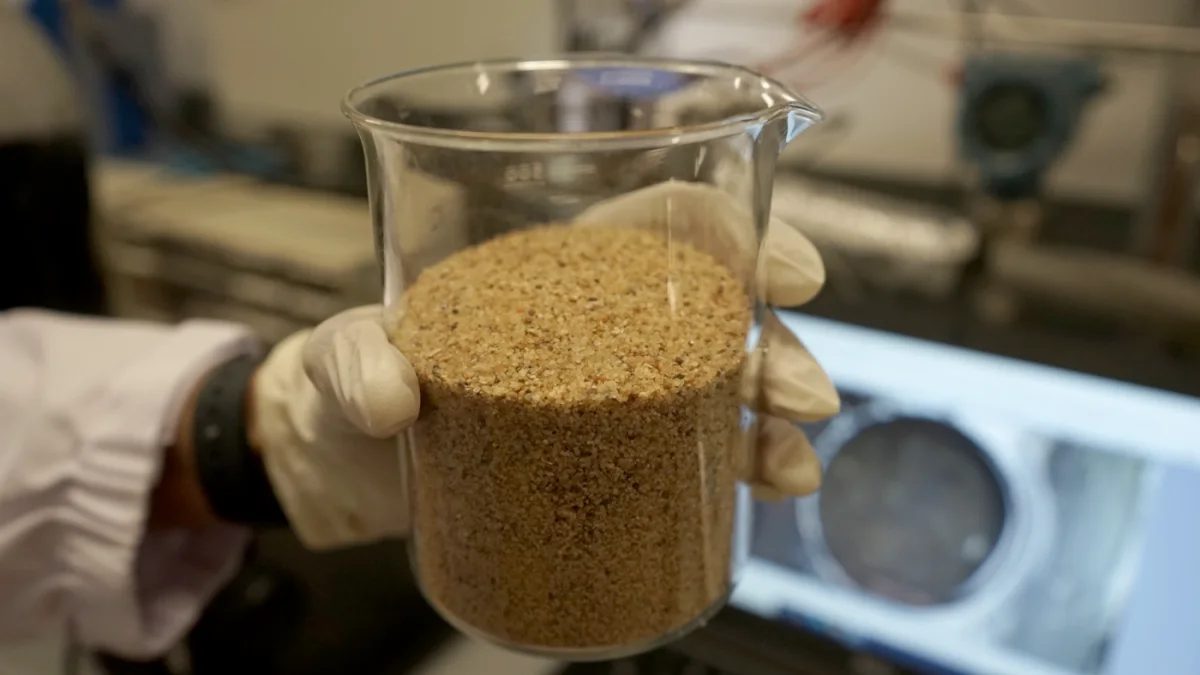 A silica sand bed is used to imitate ocean sediments. (National University of Singapore)