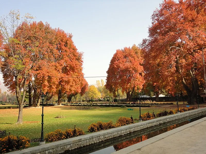 800px-Verinag Mughal Garden in Autumn