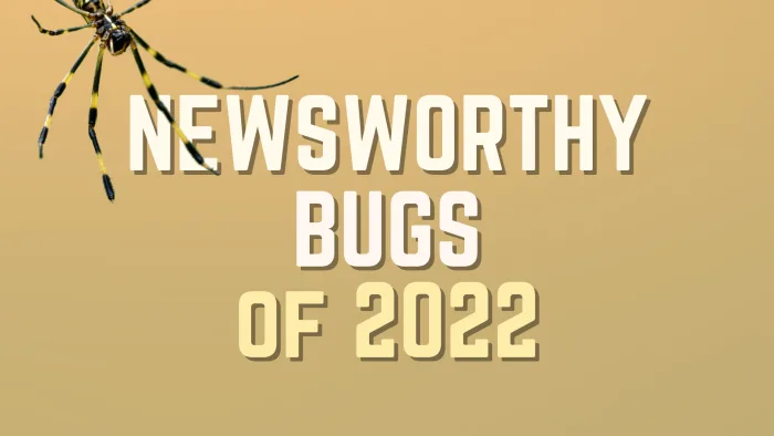Year in review: Buzzworthy bugs