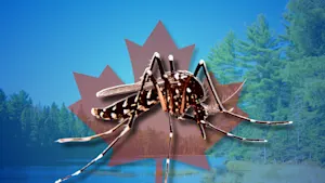 Mosquito hotspots: The pesky season has arrived, so here's where to avoid