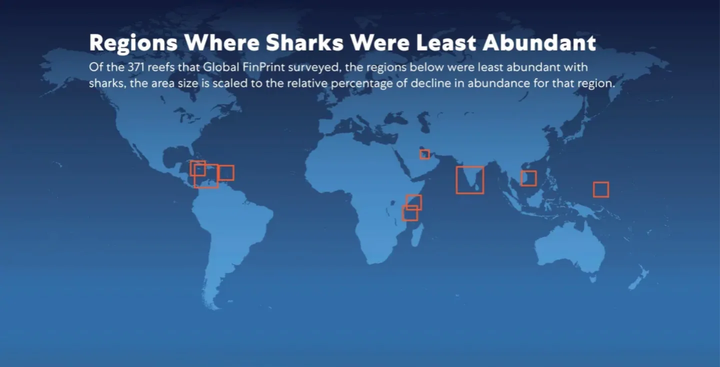 The Global FinPrint study revealed where there were few reef sharks and where they were abundant 1. (Global FinPrint)
