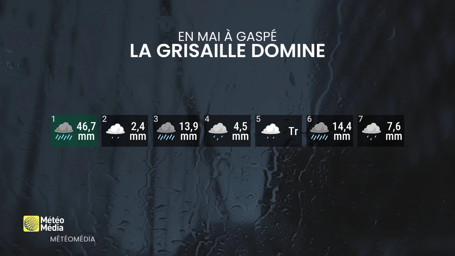 PLUIE1 (3)