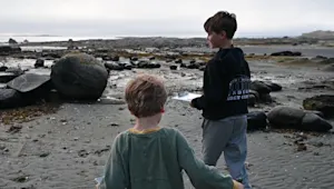 The Wildest Classroom is taking us to Hornby Island for a "seaweed school" adventure!
