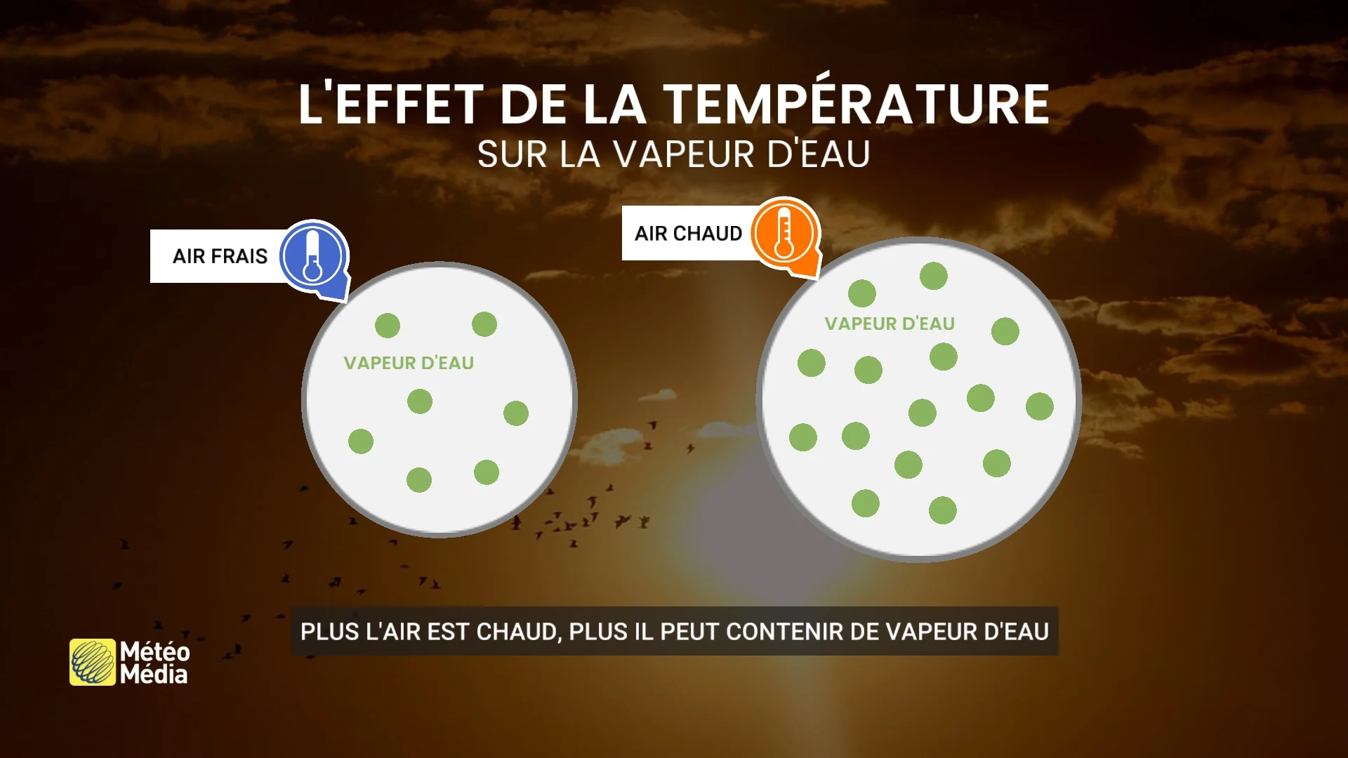 Un autre record battu, et les conséquences sont préoccupantes