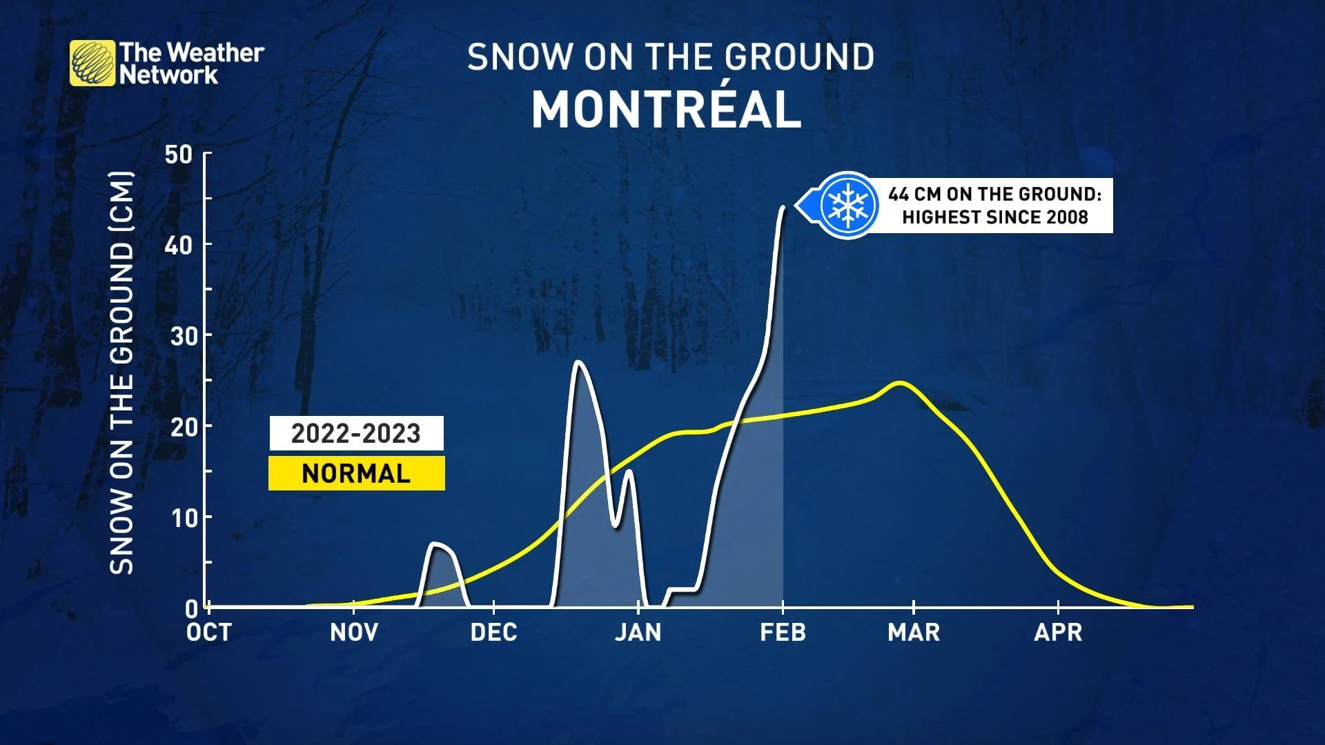 Montreal snow on the ground - January 2023