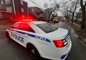 St. Patrick's Day storm topples trees, knocks out power for thousands in Nova Scotia