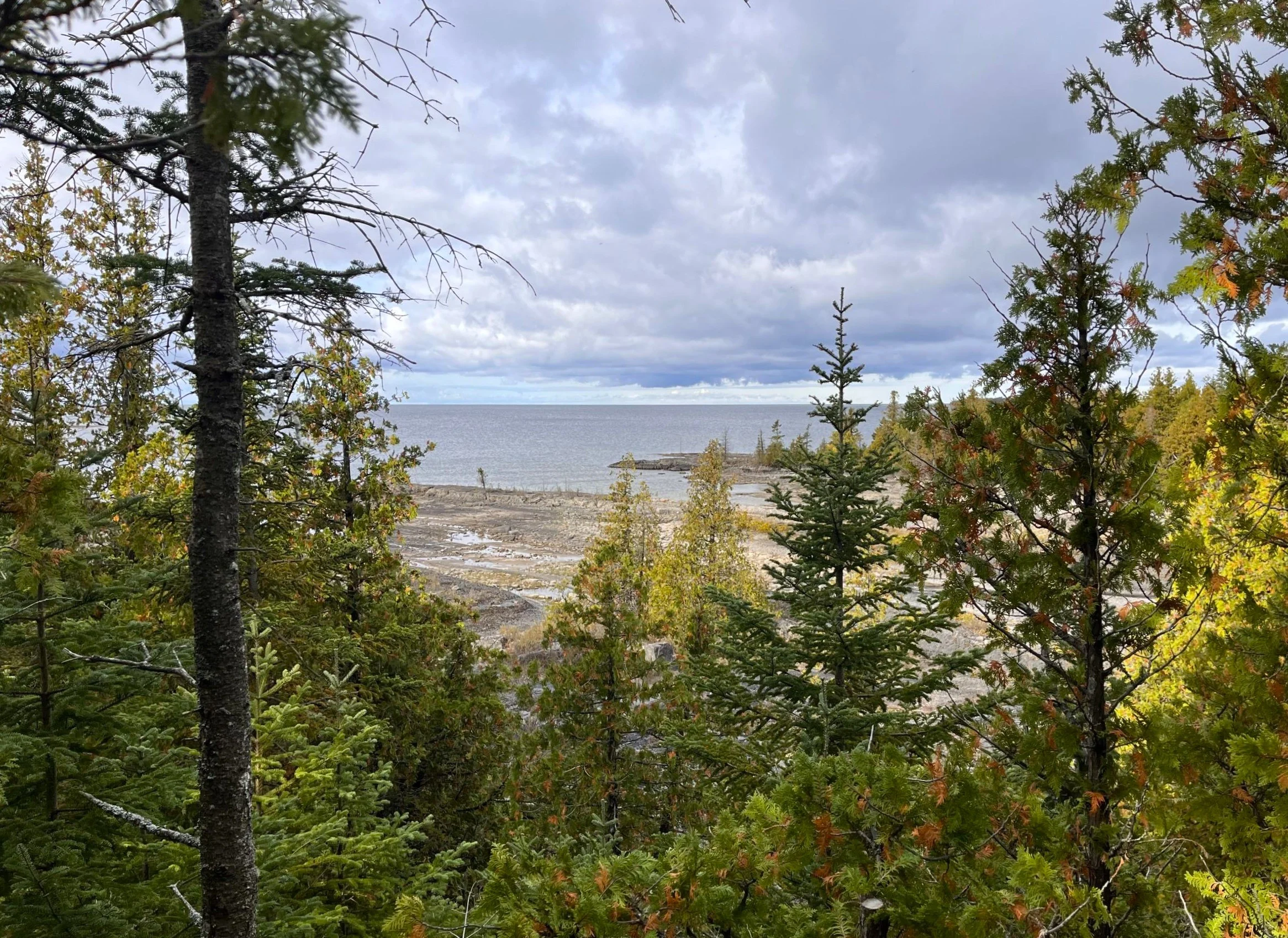 China Cove shoreline/Esme Batten/Nature Conservancy of Canada (NCC)/Submitted