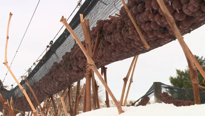 ice-wine