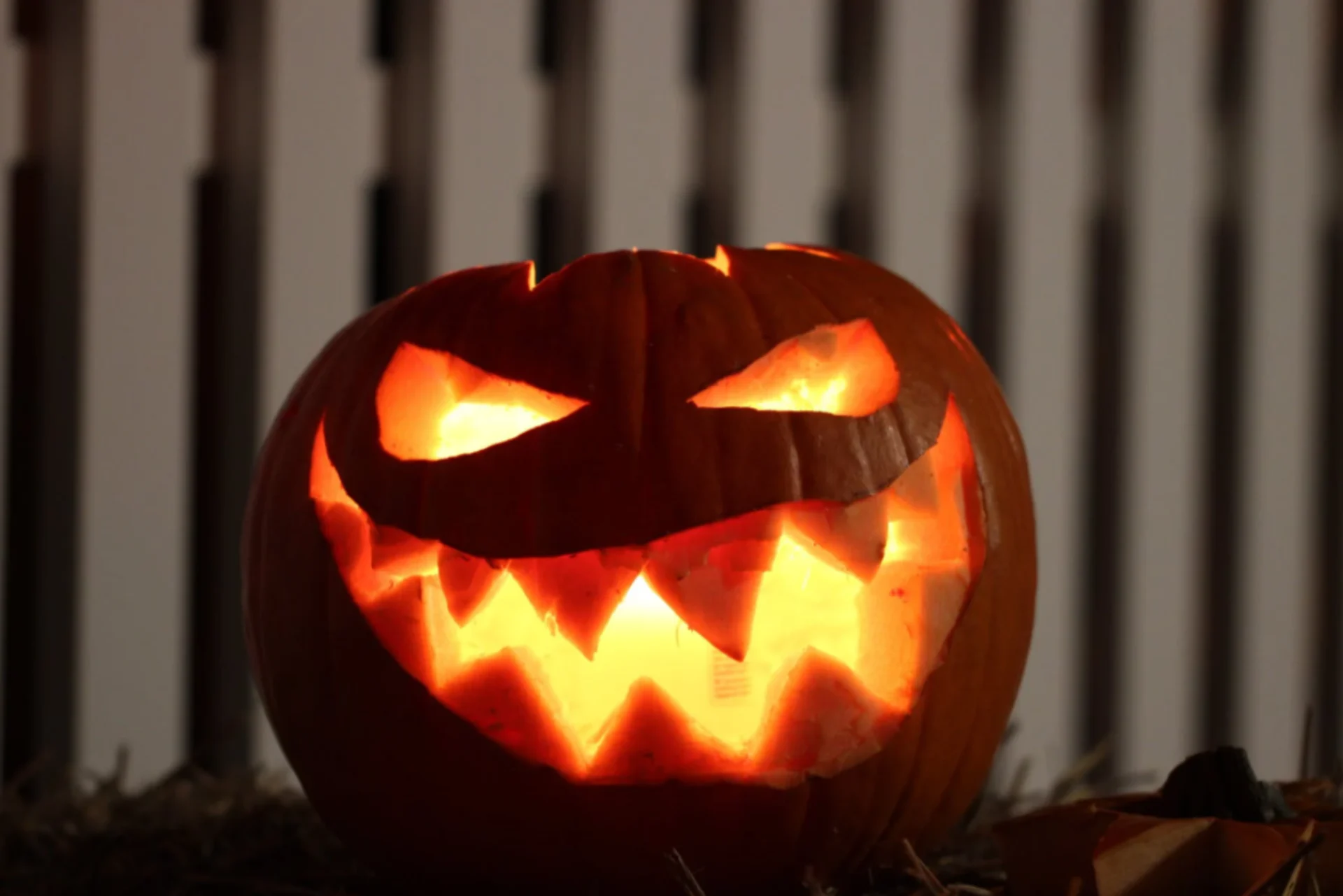 The spooky origins of pumpkin carving on Halloween