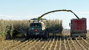 Record-high diesel prices hit Alberta farmers hard during this fall's harvest