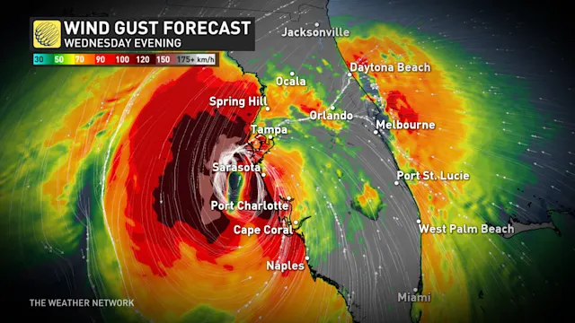 Florida in the thick of it as dangerous Hurricane Milton makes landfall ...