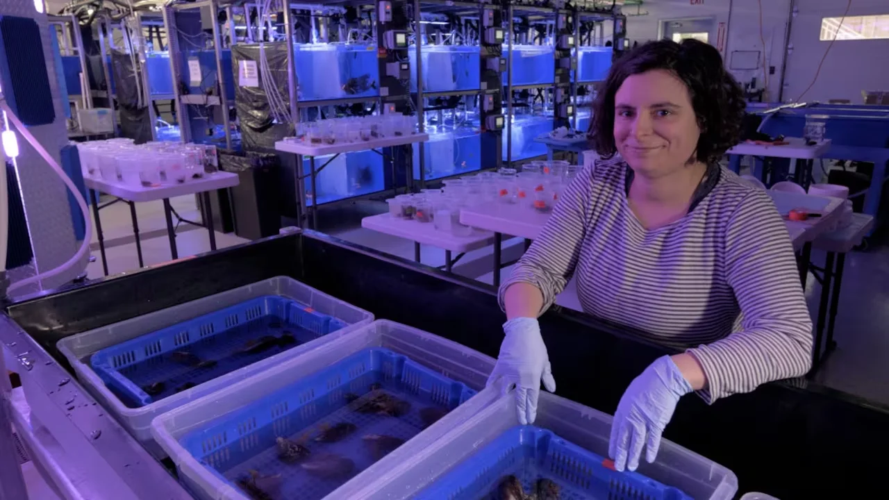 iria-gimenez-hakai-institute/Grant Callegari/Hakai Institute via CBC
