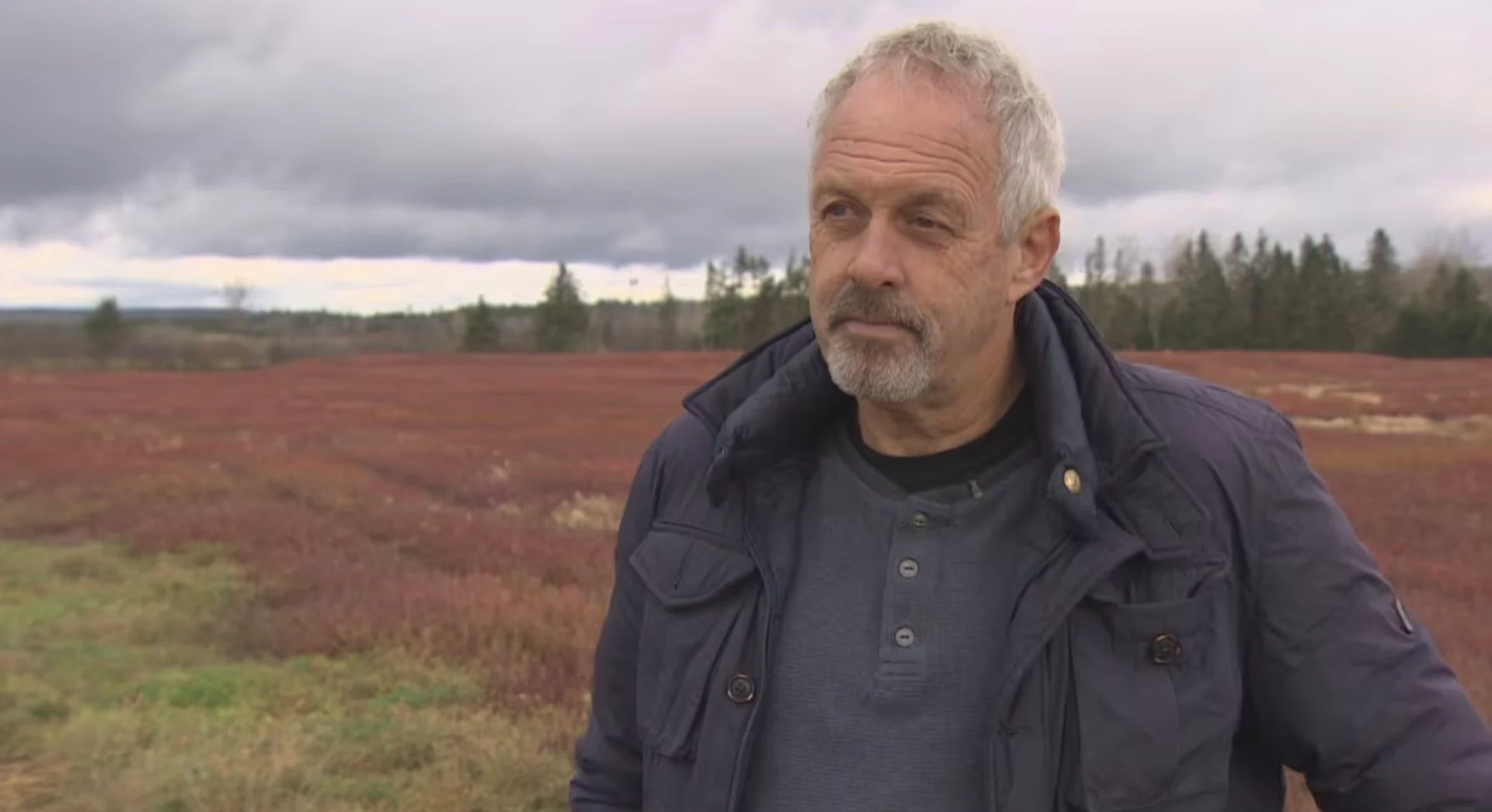 Dan Jardine/CBC