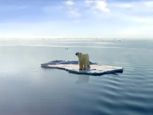 Why the Arctic's accelerated warming is an alarm bell for the planet