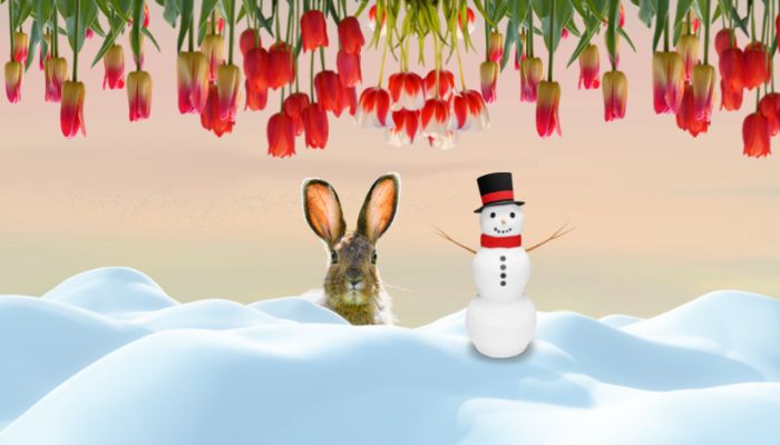 Don't let the cold get you down - there's lots to love and learn about ...