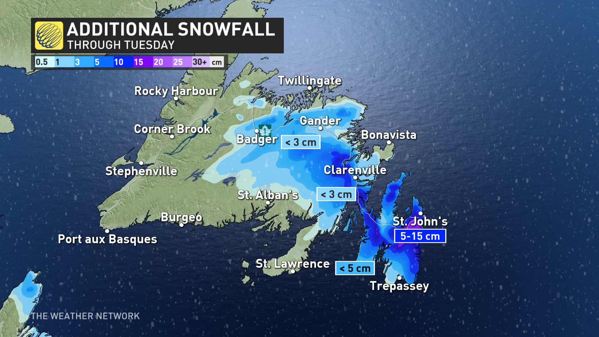 Baron - NL snow - Feb6.jpg