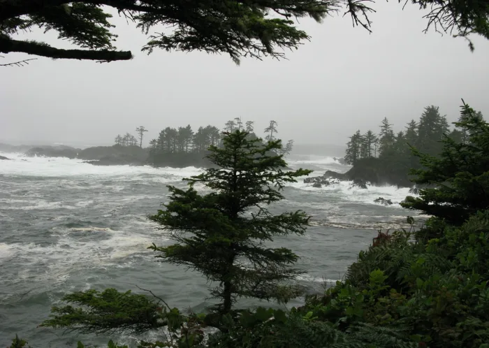 Un an de pluie reçue en une semaine : images et explications ici