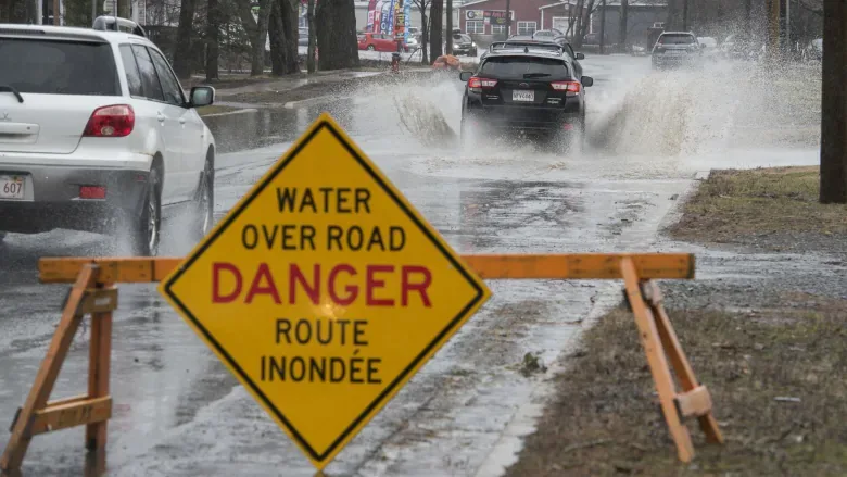 Fredericton forecast to hit flood stage Saturday, but no risk to properties