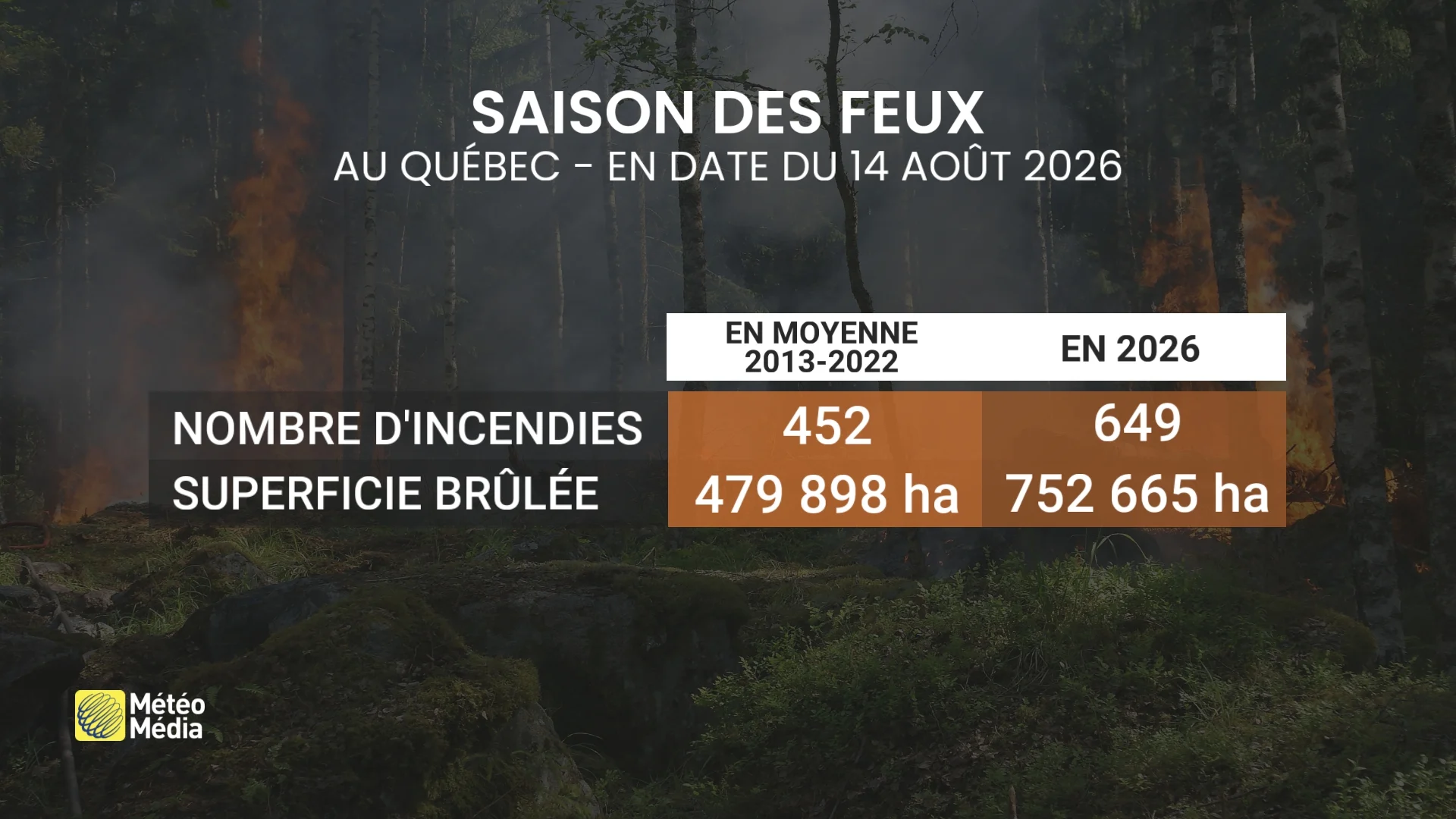 L’Ouest brûle : plus de 420 000 hectares partis en fumée