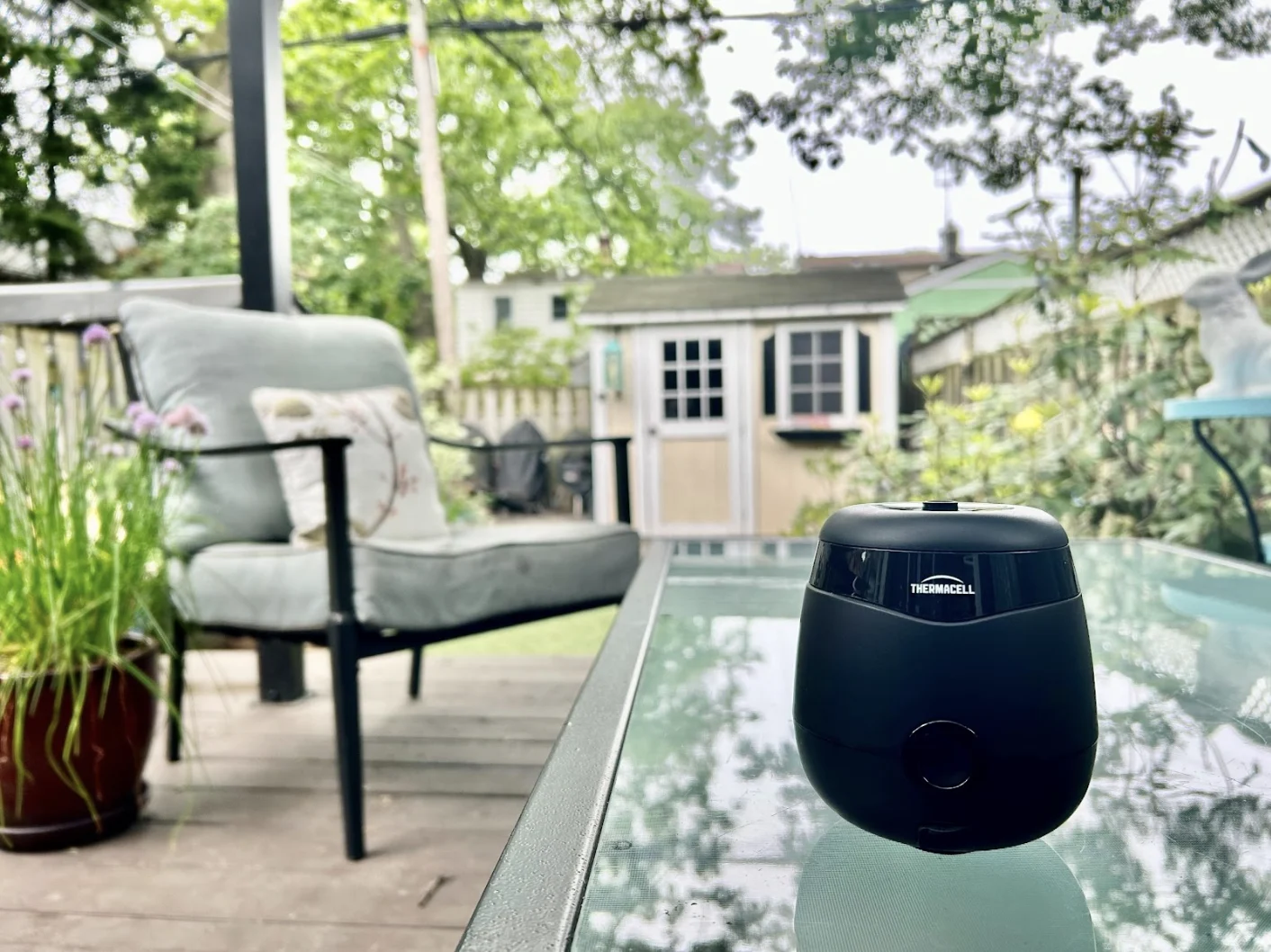 The Weather Network (taken by Lina Truong): Thermacell helps keep mosquitoes away