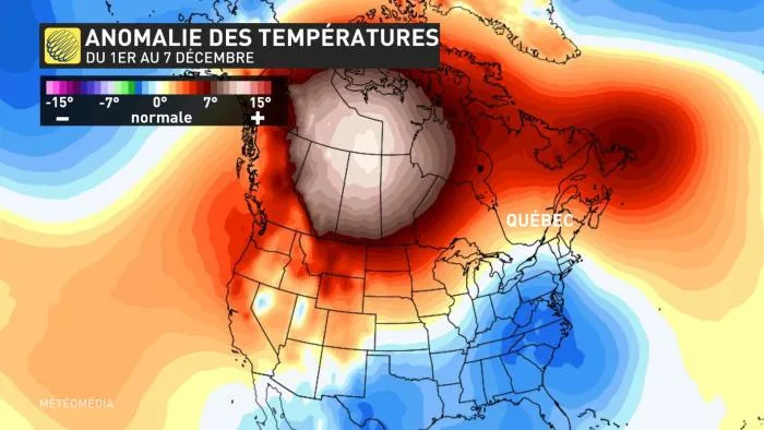 anomalie 1ere semaine