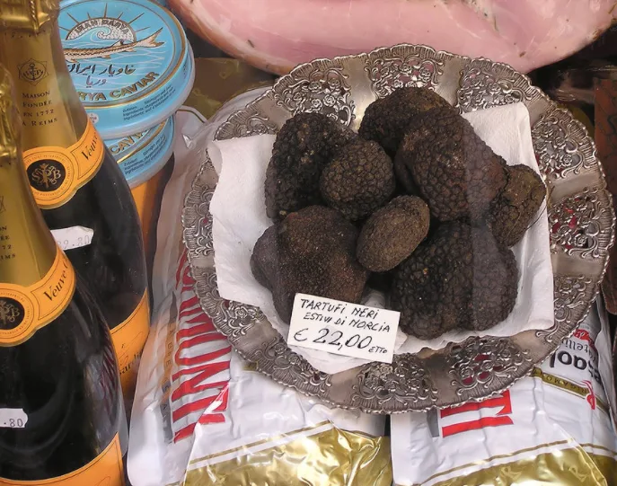 truffles credit wikimedia commons
