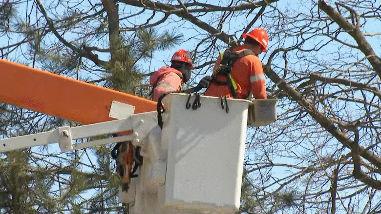 (CBC) Hydro One ice storm Orillia Ontario April 2025