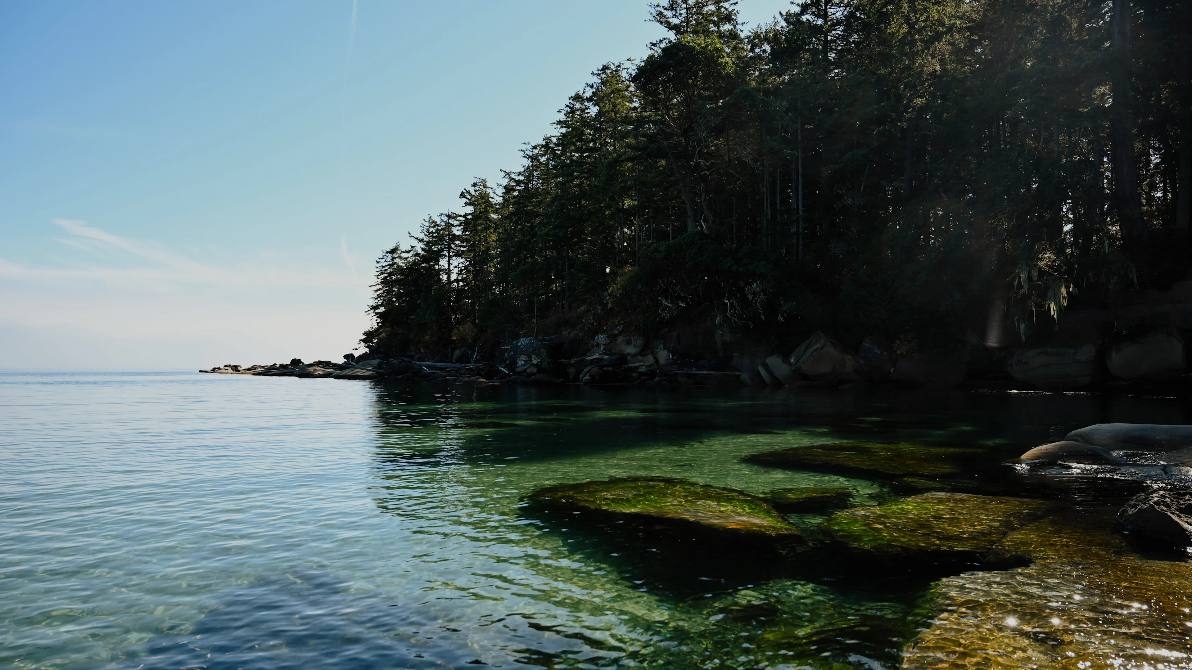 Mia Gordon - Hornby Island 2
