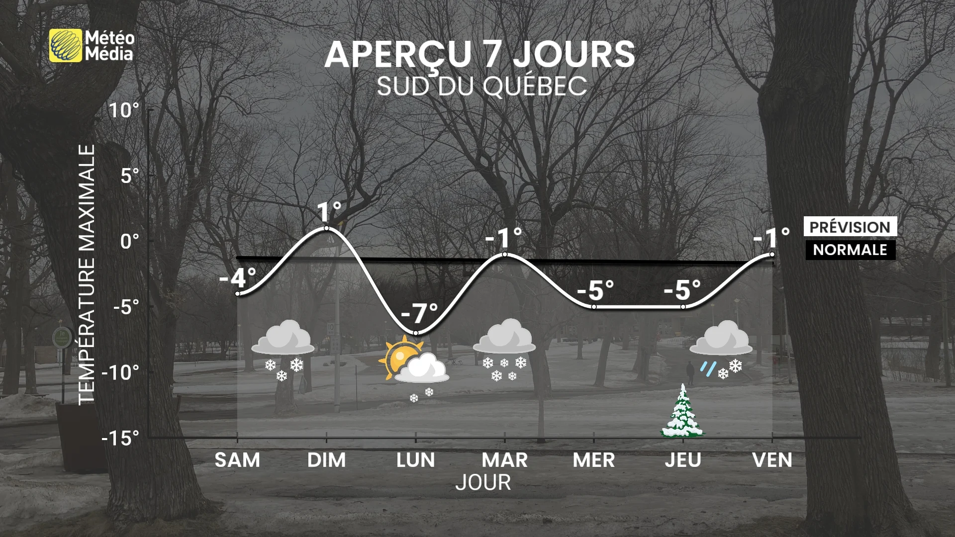 NEIGE 3 (2)