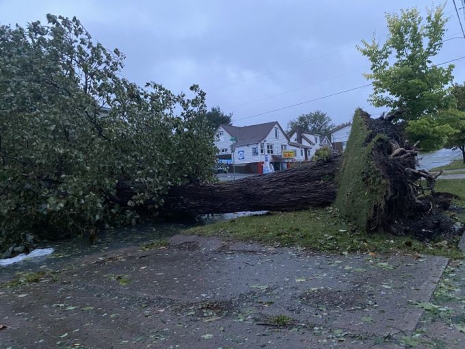 Nathan Coleman: Downed tree in Halifax following hurricane Fiona landfall. Sept 24, 2022