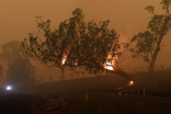 Rain brings brief respite in Australian bushfire crisis