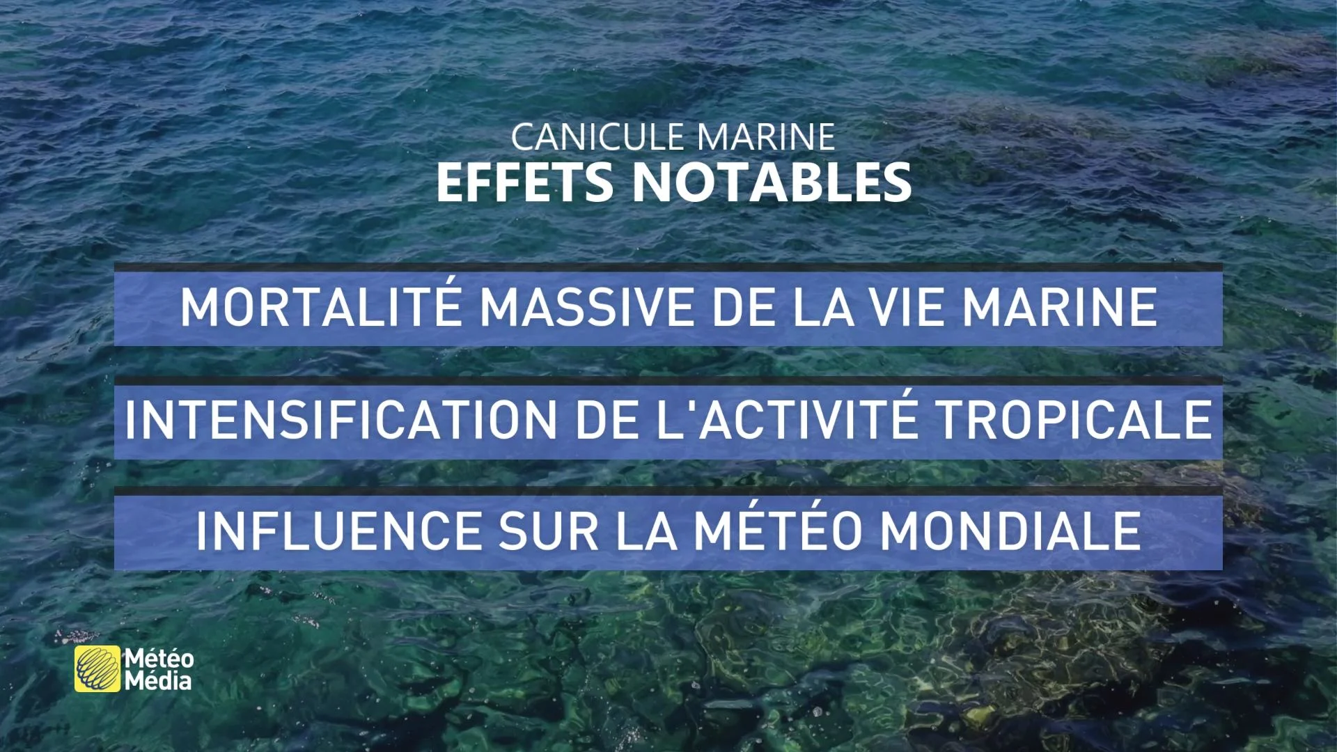 VMET11 EFFETS