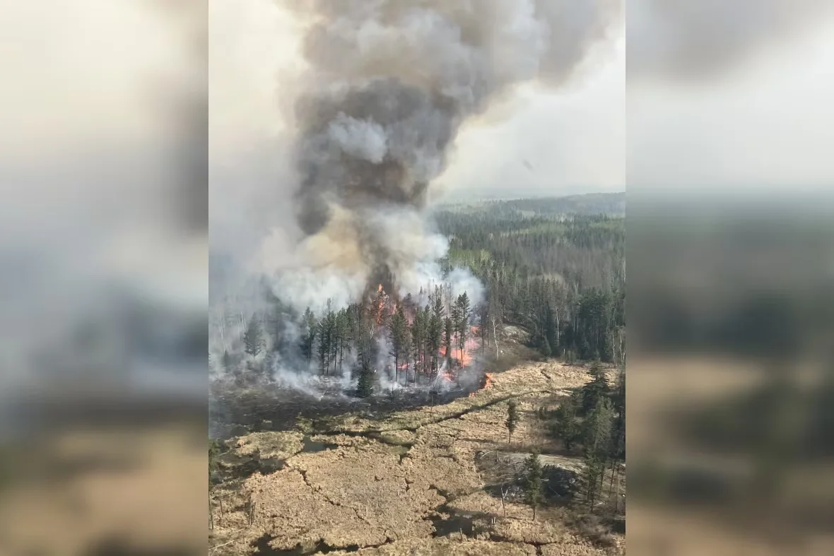 Manitoba, Wildfire, Lac du Bonnet, Trees, Flames, Smoke, May 15th, 2025. (CBC News/Manitoba Government)