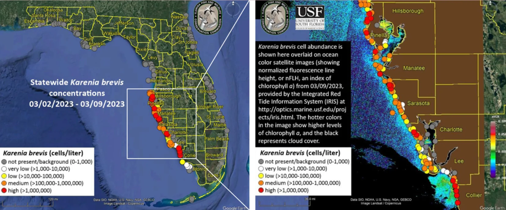 USF - algae map