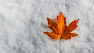 Sud du Québec : la neige est déjà en route